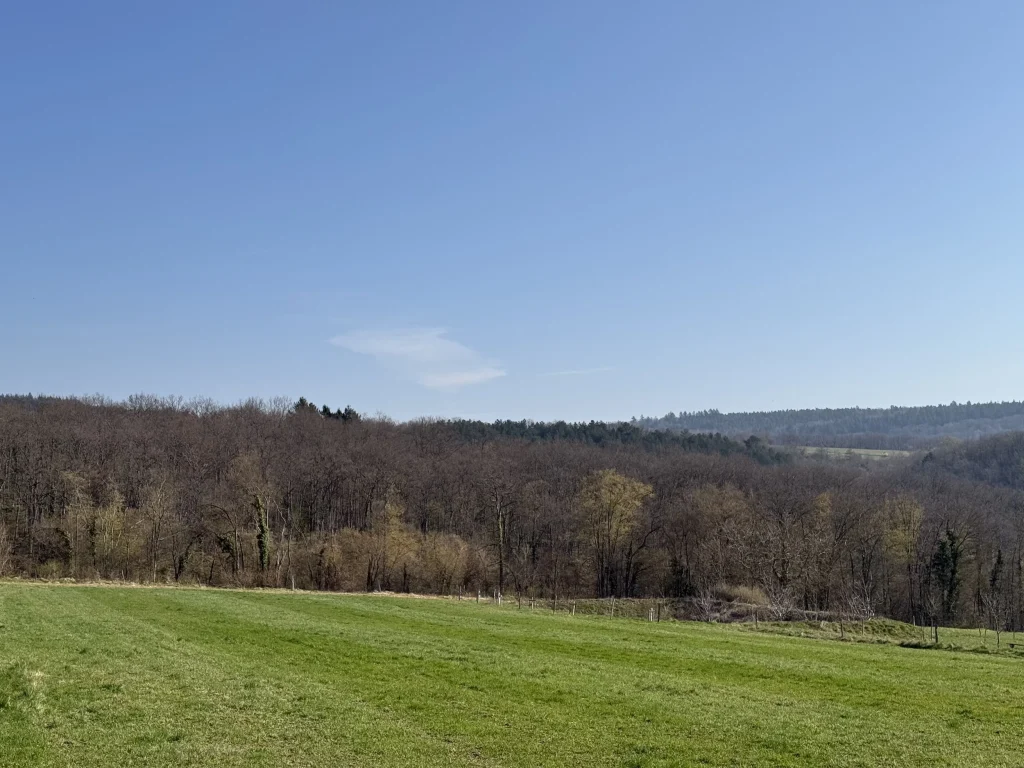 Vente appartement en attique à Osenbach