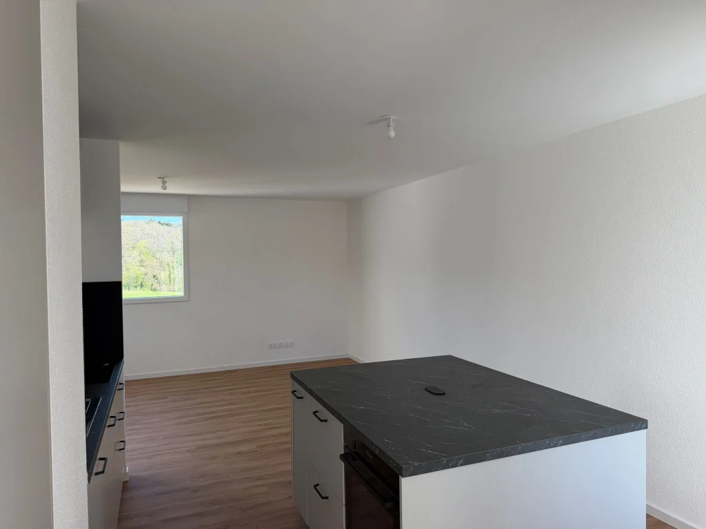 Grand attique avec terrasse généreuse à Osenbach